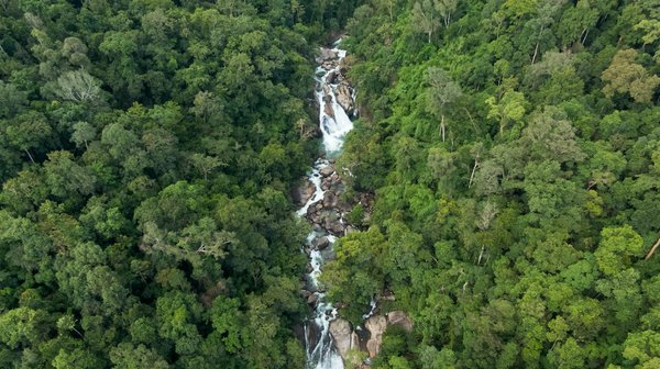 Slots De Cashman Gratuits