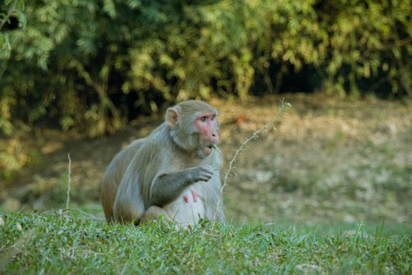 Comment Gagner Aux Casinos