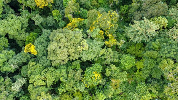 Liste Des Casino Suisse