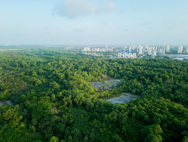 Jouer De L Argent Roulette