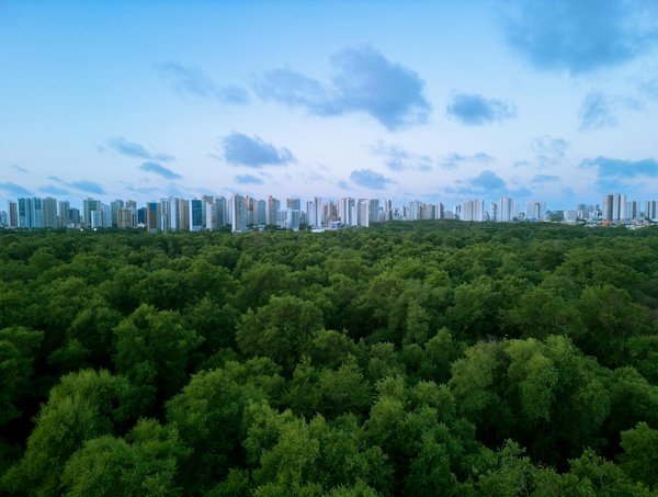 Cotes Sur Les Jeux De Casino