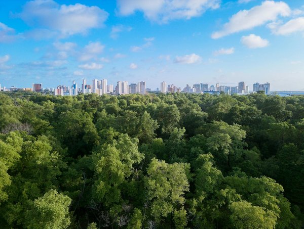 Jeu D Argent Gratuits