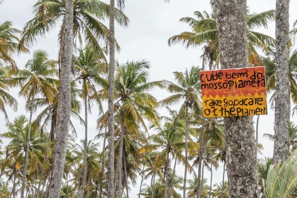 Logiciel Roulette 2025