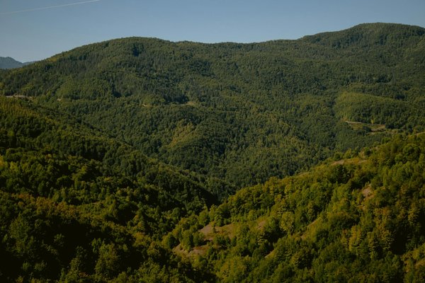 Comment Savoir Les Numero De La Roulette