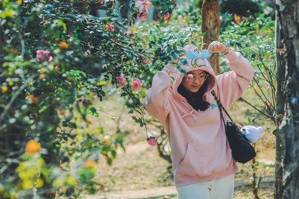 Comment Jouer Au Jackpot Casino