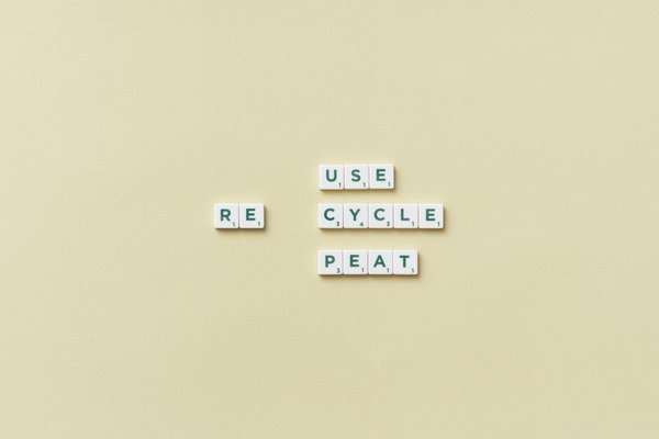 Cotes De Paiement De Roulette