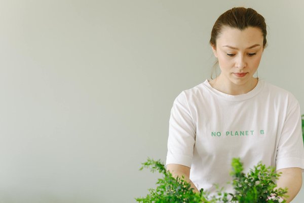 Jouer Des Casinos Gratuits