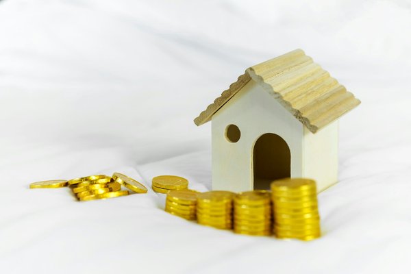 La première brique : révolutionnez vos investissements immobiliers